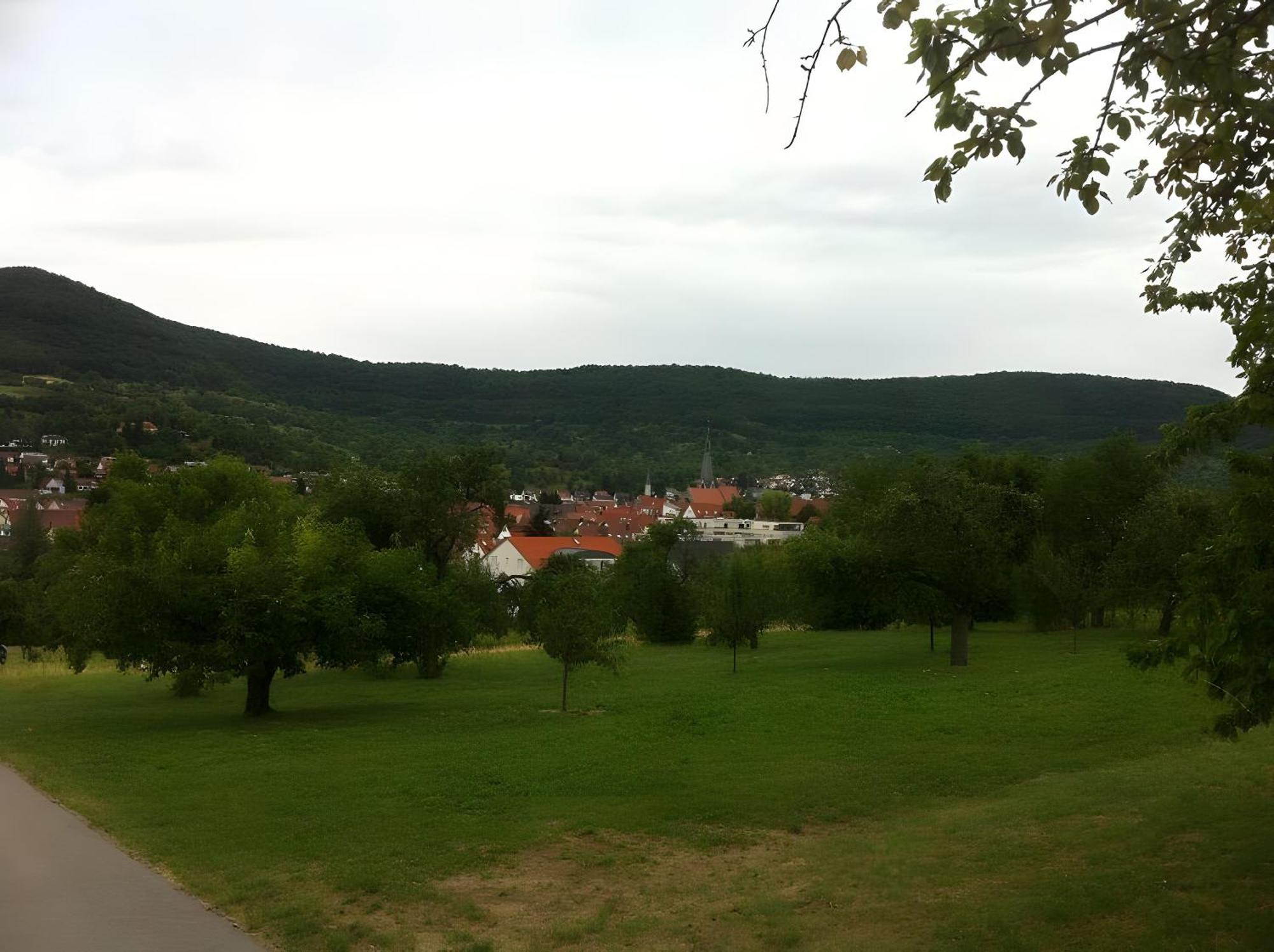 Ferienwohnung Holder Dettingen an der Erms Екстер'єр фото